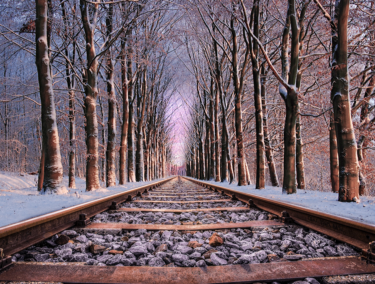 Tracks